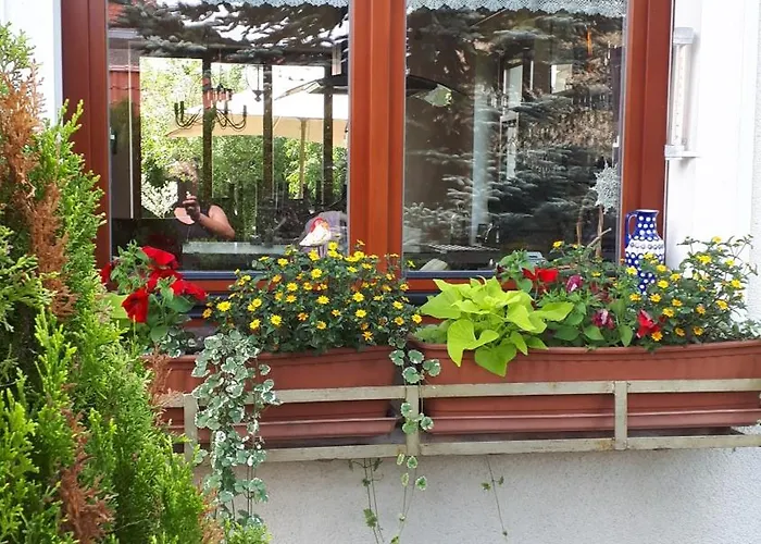 Sloneczny Homestay *