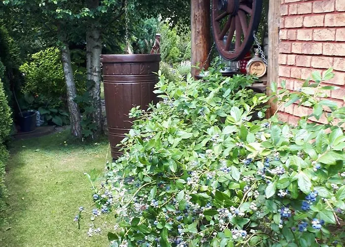 Sloneczny Homestay *